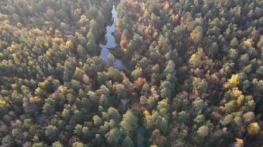 Şehrin dışında harika bir sonbahar sabahı.