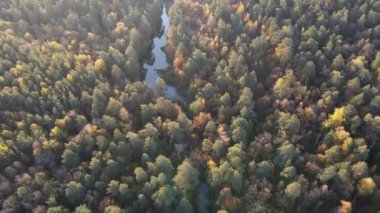 Şehrin dışında harika bir sonbahar sabahı.