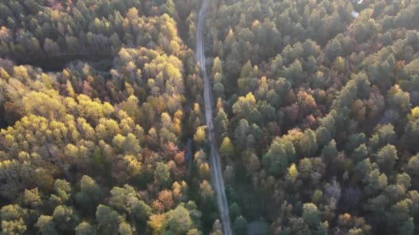 Utsikt Över Skogen Vacker Höstmorgon Utanför Staden — Stockvideo