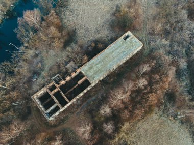 Şehir manzarasının dışında sisli bir şafak