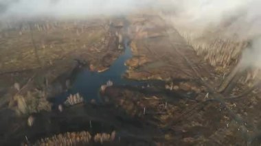 Şehir manzarasının dışında sisli bir şafak