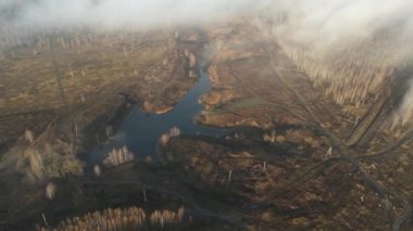 Şehir manzarasının dışında sisli bir şafak