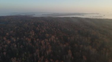 Şehir manzarasının dışında sisli bir şafak