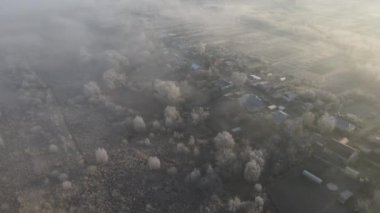 Şehir manzarasının dışında sisli bir şafak