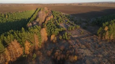 Şehrin dışında sonbahar şafağı