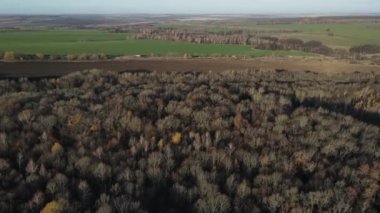 Şehrin dışında sonbahar şafağı