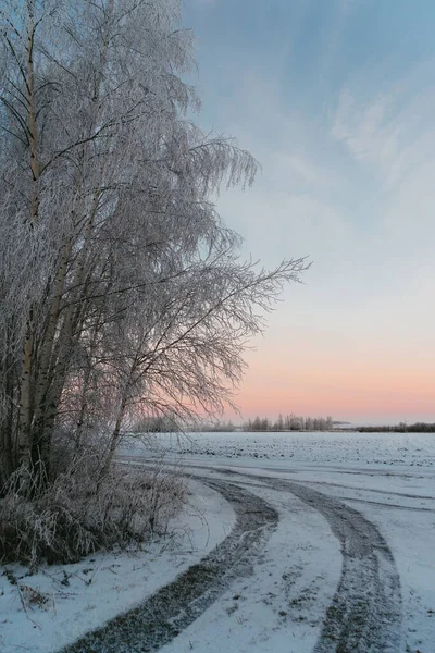 Vue Une Matinée Route Terre Dehors Ville Après Une Chute — Photo