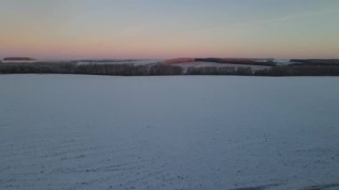 Bir kar yağışı sonrası ormanın buzlu sabahı