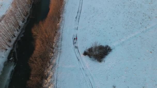 Uitzicht Rivier Ijzige Ochtend Een Sneeuwval — Stockvideo