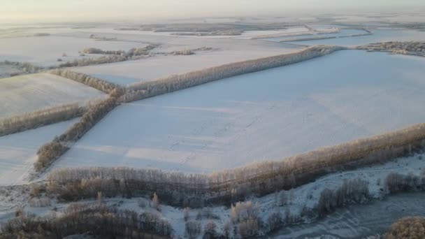 Aerial View Frosty Morning Snowfall City — Video Stock