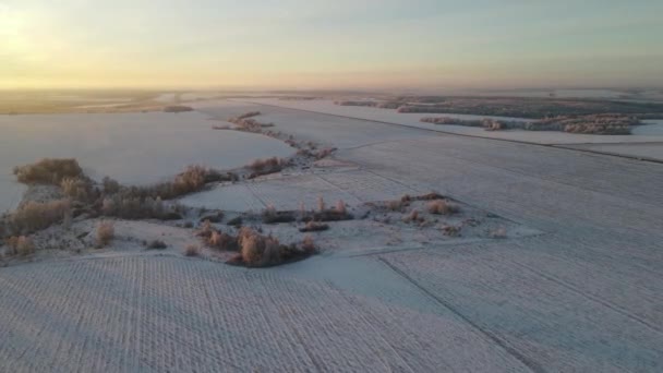 Aerial View Frosty Morning Snowfall City — Video Stock