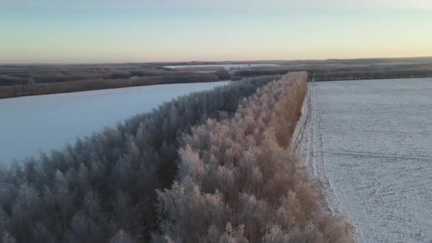 Aerial View Frosty Morning Snowfall City — Vídeo de Stock