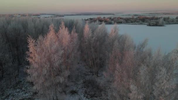 Şehrin Dışındaki Kar Yağışı Sonrası Hava Manzarası Dondurucu — Stok video