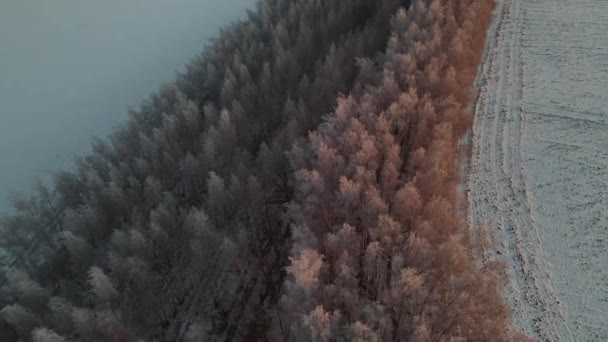 Aerial View Frosty Morning Snowfall City — Stockvideo