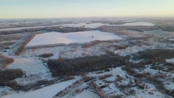 Aerial View Frosty Morning Snowfall City — Stockvideo