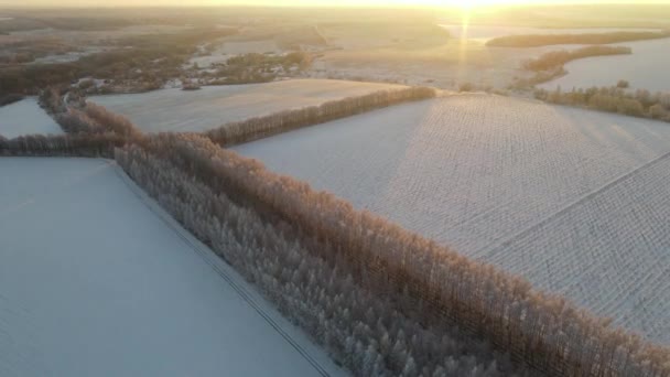 Letecký Pohled Mrazivé Ráno Sněžení Mimo Město — Stock video