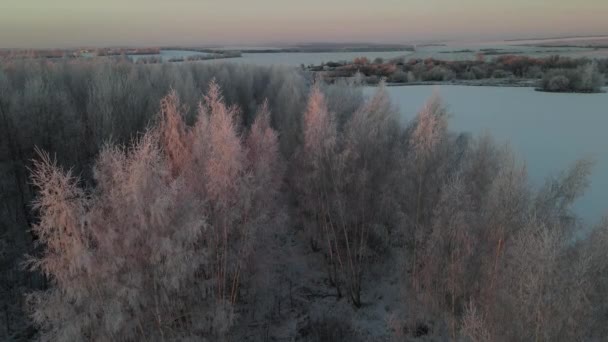 Aerial View Frosty Morning Snowfall City — Vídeo de Stock