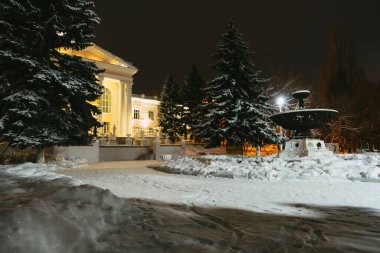 Kar yağdıktan sonra şehrin üzerindeki kış gecesi parkın manzarası