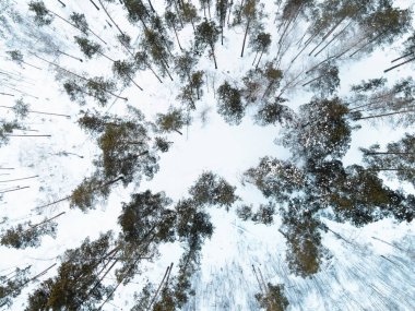 Ormanın havadan görünüşü, kış sabahı şehir dışında.