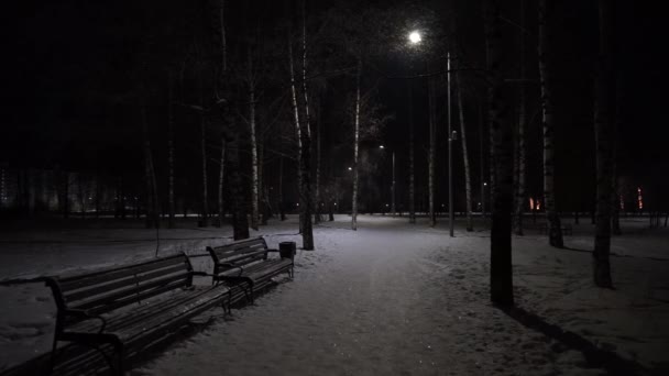 Uitzicht Het Park Winternacht Stad Een Sneeuwval — Stockvideo