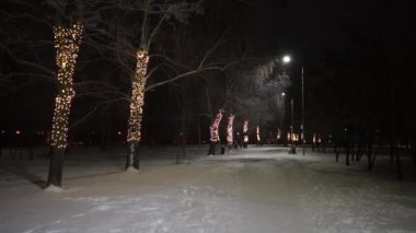 Kar yağdıktan sonra şehrin üzerindeki kış gecesi parkın manzarası