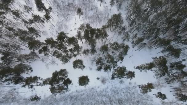 Aerial View Forest Cloudy Morning City Snowfall — Vídeos de Stock