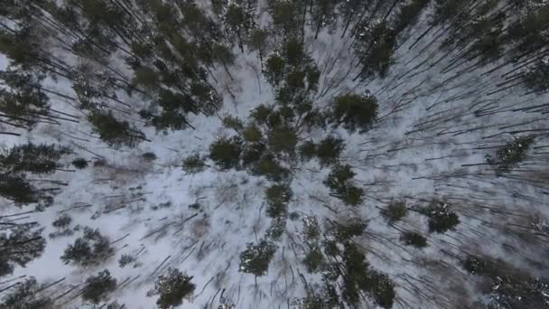 Aerial View Forest Cloudy Morning City Snowfall — Vídeos de Stock