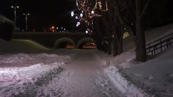 Street View Snowfall Night City — стоковое видео