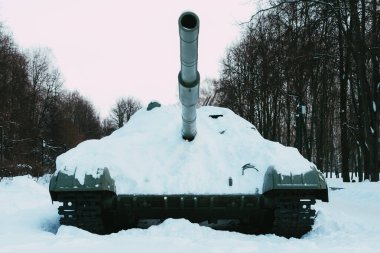 Sovyet-Polonya Silah Kardeşliği Anıtı 'nın Ryazan Meydanı