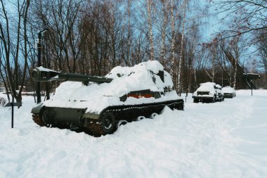 Sovyet-Polonya Silah Kardeşliği Anıtı 'nın Ryazan Meydanı
