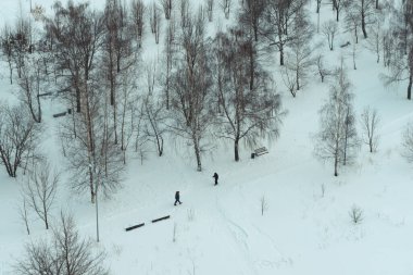 Şehrin havadan görünüşü