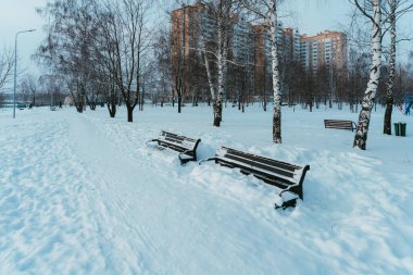 Kar yağışı sonrası parkta bulutlu bir gün