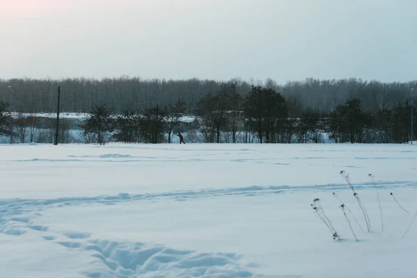 Chmurny Dzień Parku Opadach Śniegu — Zdjęcie stockowe