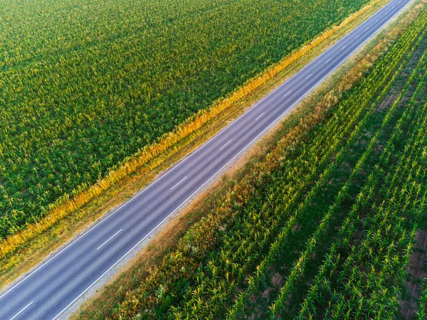 Вид Воздуха Шоссе Через Сельскохозяйственное Поле — стоковое фото