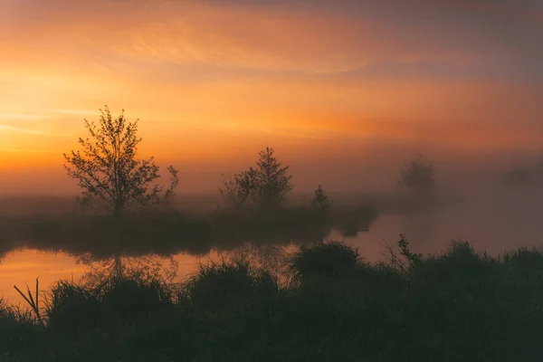 Nebelige Morgendämmerung Über Dem Fluss Wunderbarer Morgen Außerhalb Der Stadt — Stockfoto