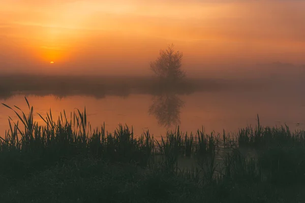 Nehrin Üzerinde Puslu Şafak Şehrin Dışında Harika Bir Sabah — Stok fotoğraf
