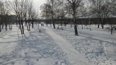 Şehrin üzerindeki kış günü halk parkının hava manzarası.