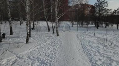 Şehrin üzerindeki kış günü halk parkının hava manzarası.