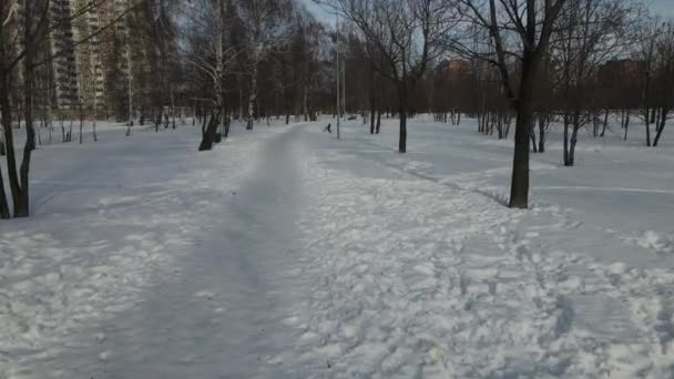 Luchtfoto Van Openbare Park Winterdag Stad — Stockvideo