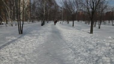 Şehrin üzerindeki kış günü halk parkının hava manzarası.
