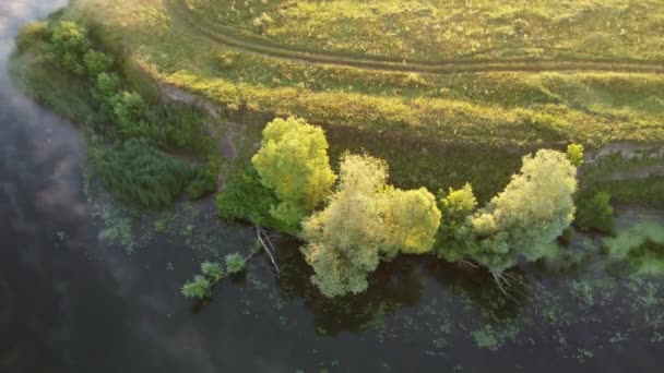 Widok Lotu Ptaka Wybrzeże Rzeki Letni Poranek Poza Miastem — Wideo stockowe