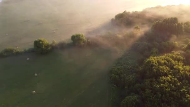 城市外的绿色农田堆栈的空中景观 — 图库视频影像