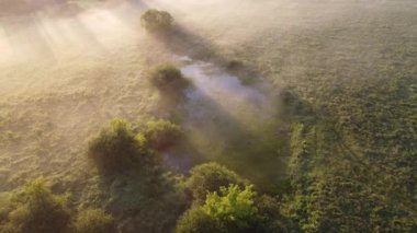 Yeşil ormanın hava manzarası şehrin dışındaki sisli şafak vakti.