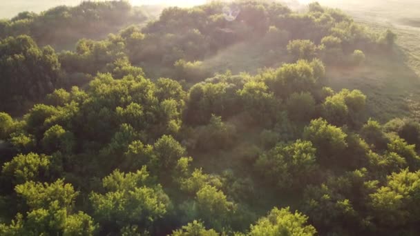 城市外绿树成荫的晨曦鸟瞰全城 — 图库视频影像