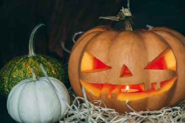 Cadılar Bayramı Balkabağı, Jack O Lantern. Saman üzerinde birkaç balkabağı, bir mumun içine oyulmuş büyük bir balkabağı yanıyor. Yakınlarda birkaç dekoratif balkabağı var..