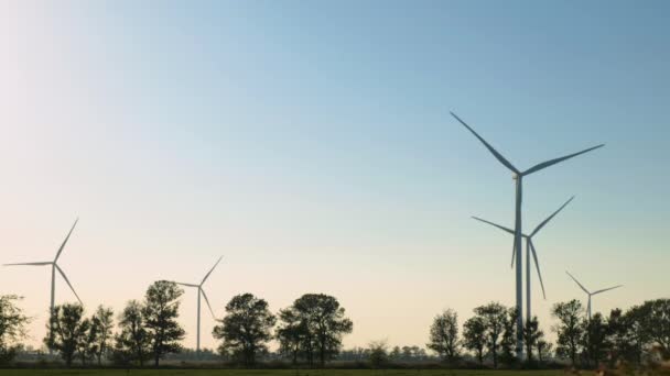 Větrné Elektrárny Poli Pozadí Stromů Jasného Bezmračného Počasí — Stock video