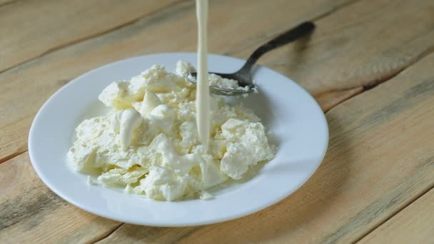 白いプレートにカッテージチーズをゆっくりとサワークリームで注ぎます。. — ストック動画