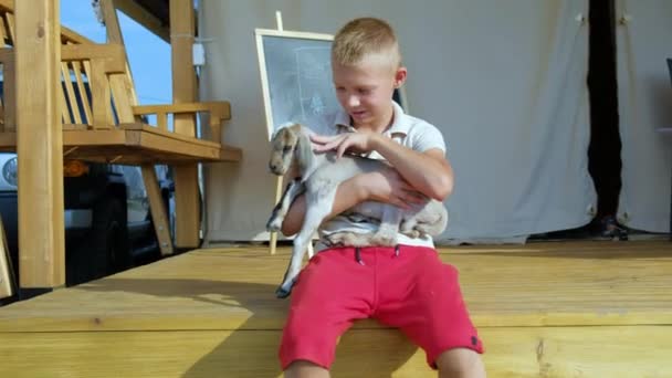 Jeune Adolescent Avec Bretelles Assoit Près Tente Caresse Une Chèvre — Video