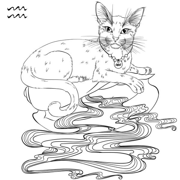 Aquarius cat zodiac line art - Stok Vektor