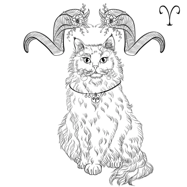 Aries cat zodiac line art — Stock Vector
